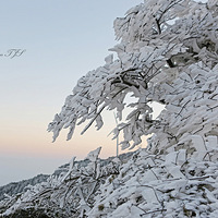 ��ڡ-����ɽ