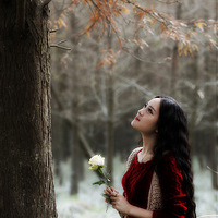 ����ɼ-����