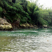 ������������̶