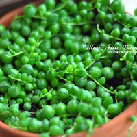 ���⣡��û��ϲ����������ģ�