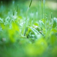 ·�ŷ���Էֲ���