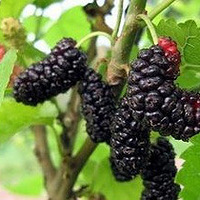 2014���������ɣ��(��)��ժ10Ԫ����� �