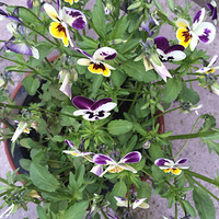 ���ġ�����