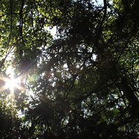 ��ʲô�����㣬���������ļ���