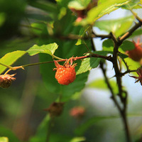 ���㲻����ζ��Ұζ