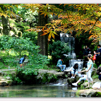 ��˫��������