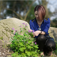 �̷����ӡ����ݻ���ǧ�����Ļ��