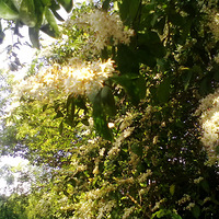 ����㳡��