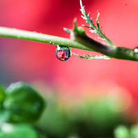 ˮ��Ҳ����