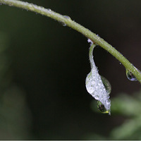 ΢������