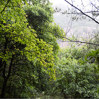 ���죬���߳��ϣ�������̶��