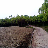 ����㳡����