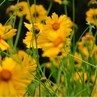 �᲻֪�������Ҿ�����������������㣬��û��ȥ�ɣ�