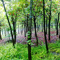 ����㳡����