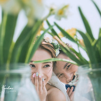 ���������贺����