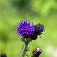 0503����ɽ֮��