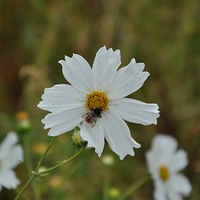 ��������ʱ