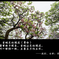 ����ž������