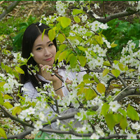 ���ڴ���Ц�����滨�ڡ�