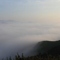 ��ãã�������ɣ�