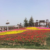 ������㣡��ʢ��