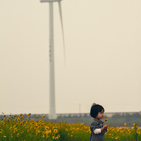 ���¶���������