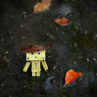 ������̶�����پ�