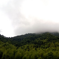 ̨�ݼ������������ܺ���Ⱦ�ڲ���