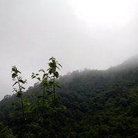 ̨�ݼ������������ܺ���Ⱦ�ڲ�������