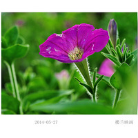 С������[3]