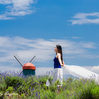 ��ɫ����