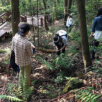 ��µ�����̨ɽ����������ɽ����������ѧ��ʵϰ�գ�������