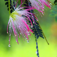 ���кϻ���