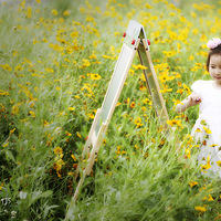 ף�����һ���֣�