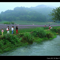 ����կ�Ŵ�޹�²�����  ��˵�����޲��Ҳ����Ƿ�ɽկƯ����ϲ��