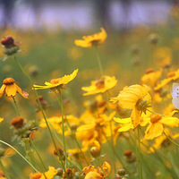 ��Ȼ֮��,���������