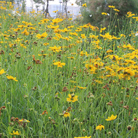 ��ʲô�����㣬���������ļ�����������