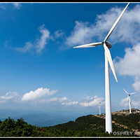 ����֮��