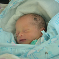 ��������¼����ĳɳ�