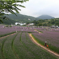 ����կ�Ŵ�Ļ���