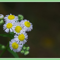 СҰ����������·�߾����Ŀ���