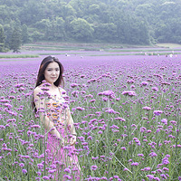 ���ϻ���