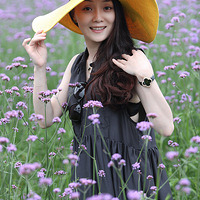 ޹�²ݣ����޲ݣ�--�Ʒ�