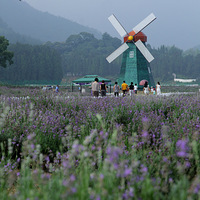 �����ɾ�