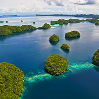 ����գ�ת��