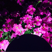 Сҹɫ��������