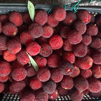 ������˭һ��ȥͩ��ժ��÷ȥŶ