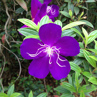 �� �� �� ���� �� ͸ �� �� �� ͨ �� �� �� �� �� �� �� ��