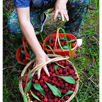 �̽�ɽժ��÷