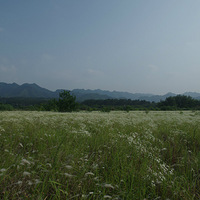 ��̨����